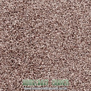 Tuftex Taupe Carpet