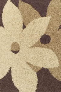 2060 D Aura Rug