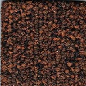Nutmeg Precision II Carpet Tile