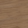 Sunset Oak