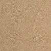 MUTED-STONE  Durham Twist Carpet