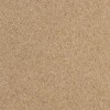 SUMMER BREEZE Durham Twist Carpet