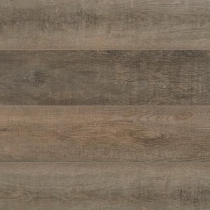 Bark 50LVPE856-flipped