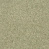 Alpine Meadow Durham Twist Carpet