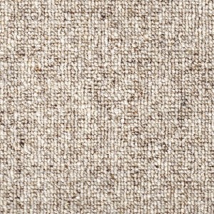 Dublin Canvas Carpet