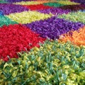 Coloured Squares Rug
