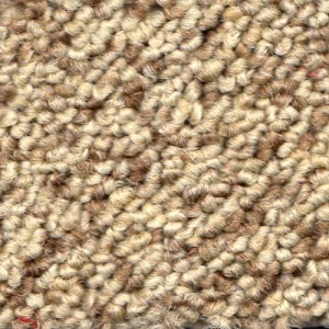 Sandstone Neptune Carpet Tile