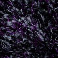 Sofia Purple Grey-WEB