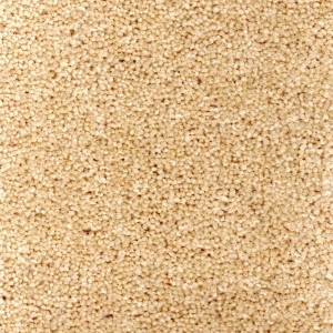 Cornish Cream - Durham Twist Carpet, 80/20 Wool Twist