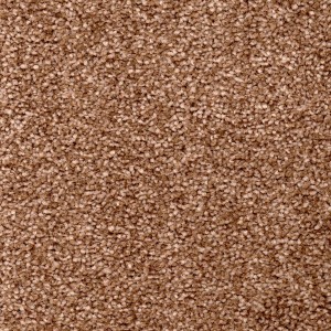 Latte Coloured Carpet