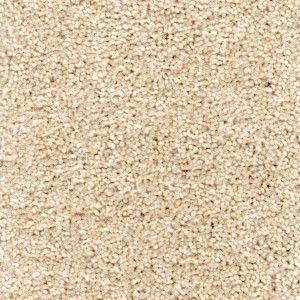 Oyster Carpet - Durham Twist