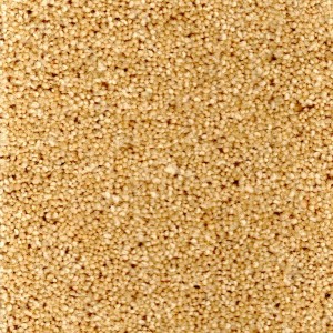Sand Carpet - Durham Twist