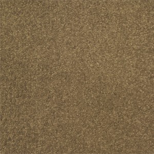 Starna Saxony Carpet